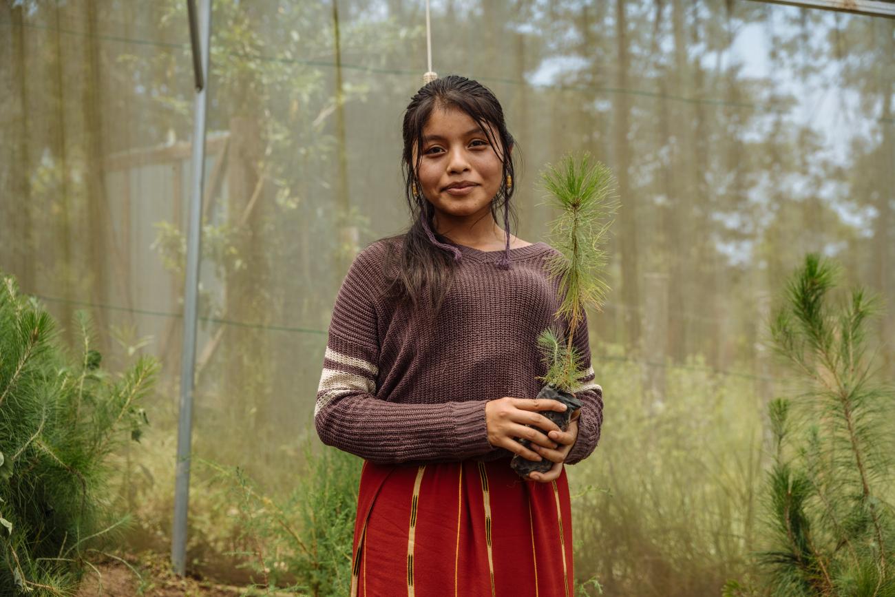 A young girl in a brown shirt and red skirt holds up a plant