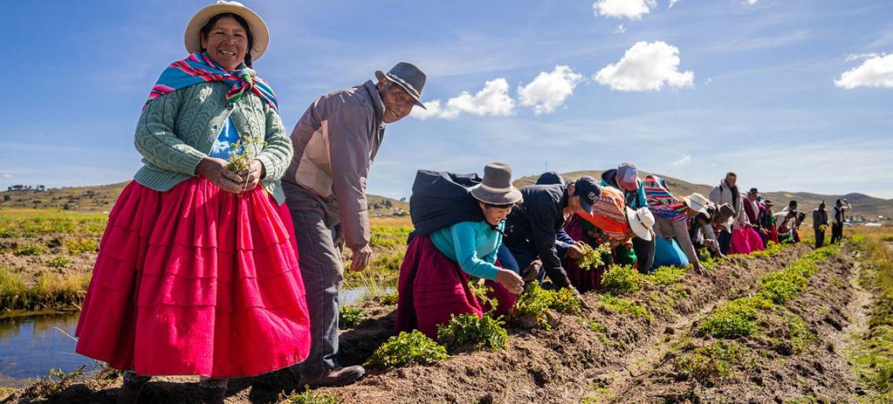 © PNUD/MINAM/PPD/Nuria Angeles Los habitantes de Thunco cosechan sus productos.