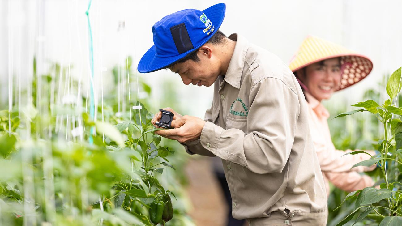 Dans le cadre du projet intitulé Smart Farming for the Future Generation, financé par la République de Corée, Hieu Vu Van a transformé son moyen de subsistance grâce à des serres améliorées qui allient technologie de pointe et prix abordable.