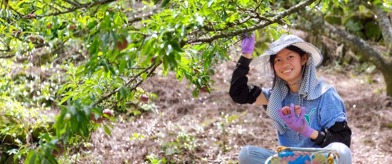 Young woman near the tree