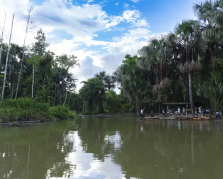 Reserva del Manu, Peru