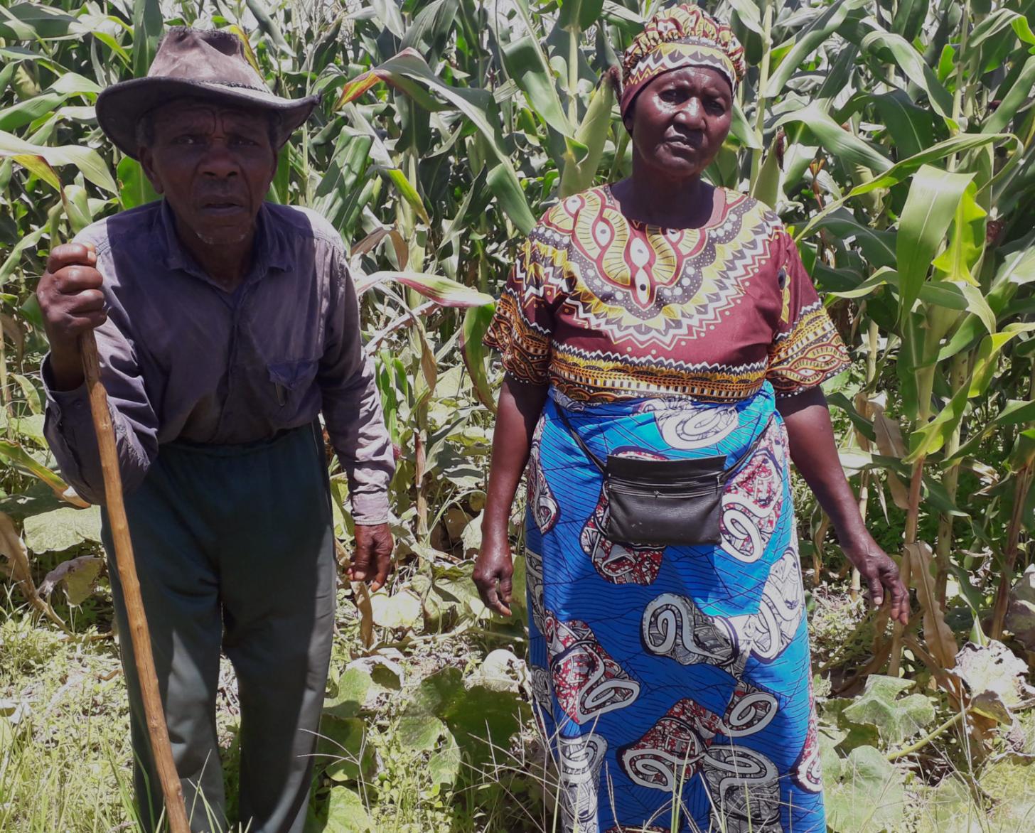 Los agricultores locales, Dingane y Nancy Sithole, parados uno al lado del otro, posan orgullosos frente a un terreno de cultivo.