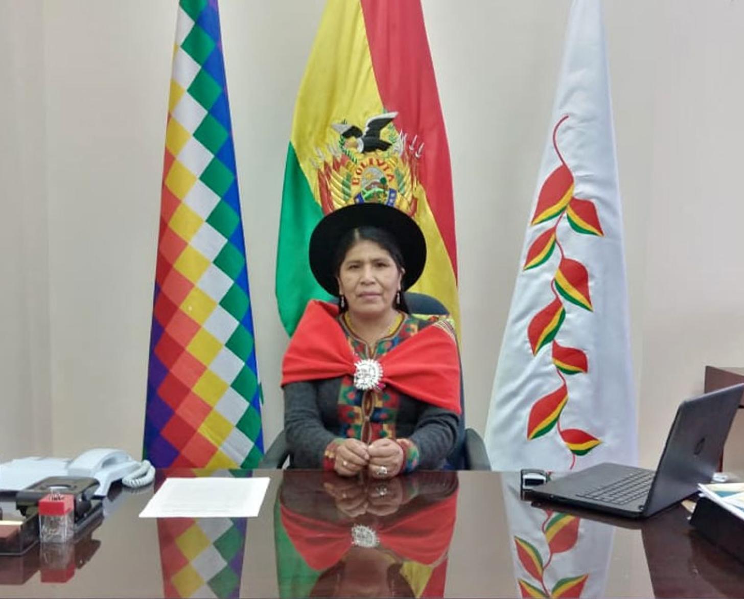 A woman dressed in traditional Bolivian garb in front of three flags. 