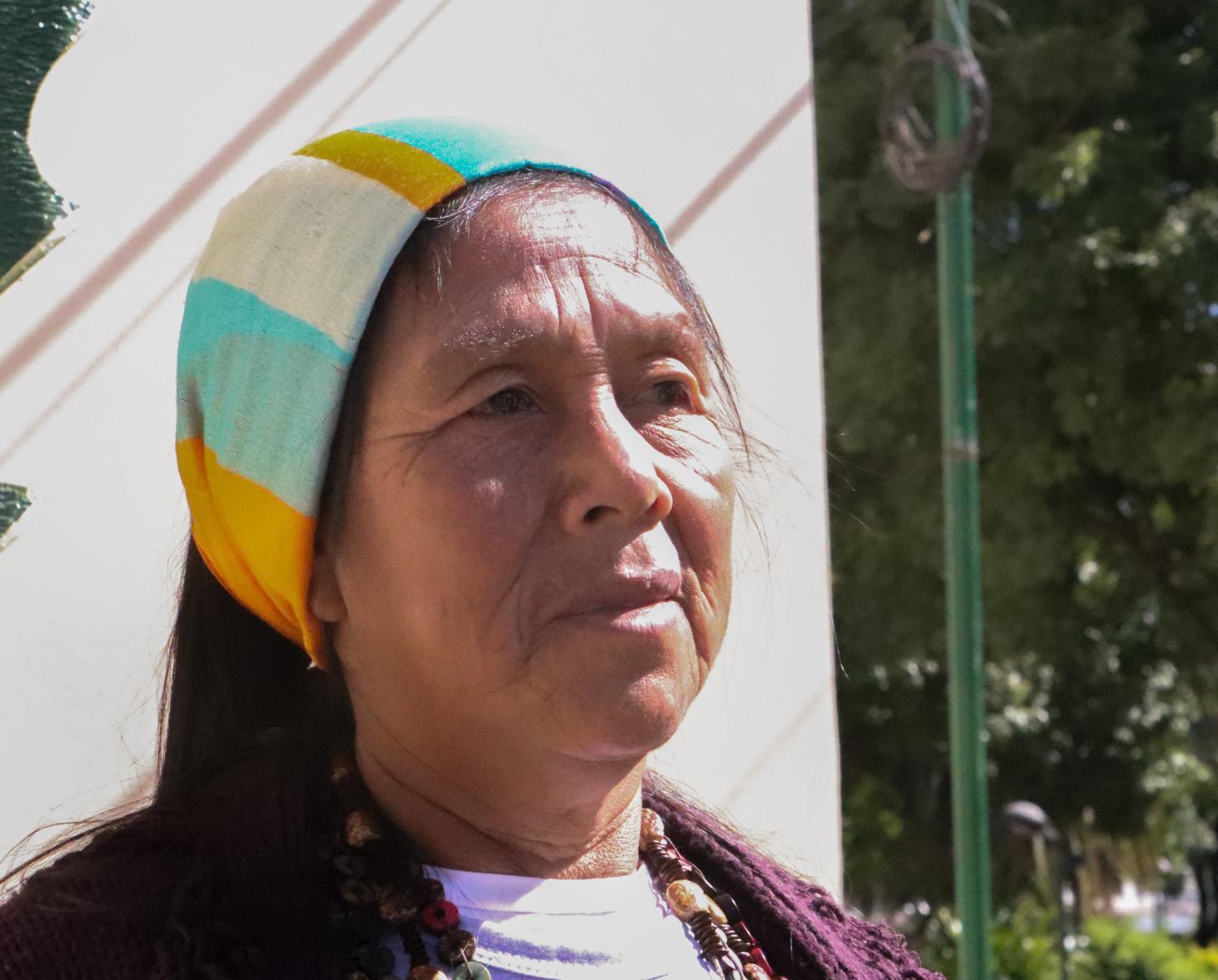 Primer plano del rostro de una mujer con una bandana en la cabeza. Se trata de Nancy López, cacique de la comunidad wheenahek en Tartagal Argentina.