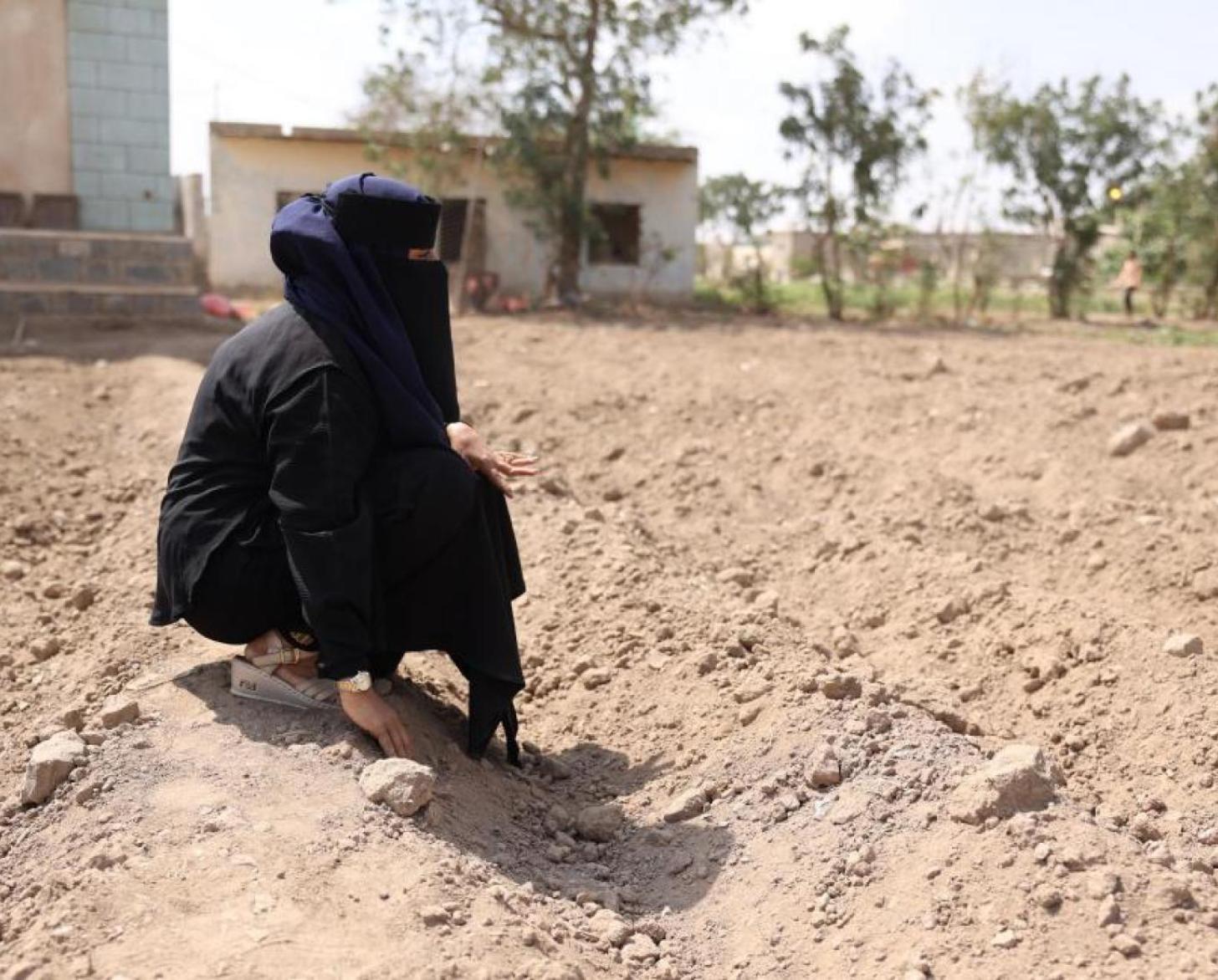 Una mujer con velo examinando el terreno en un campo árido.