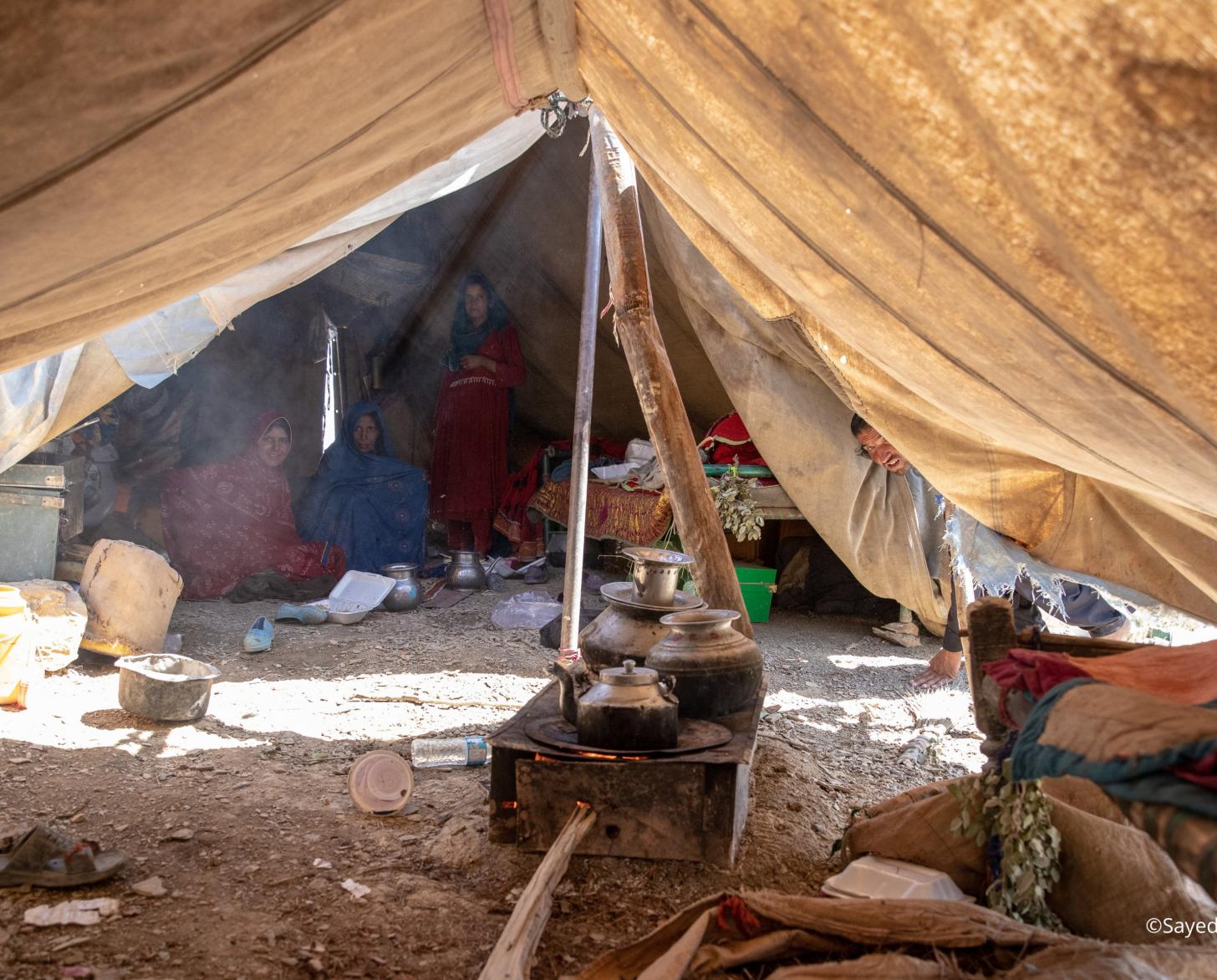 خيمة على الأرض، مدعومة بجذع شجرة.