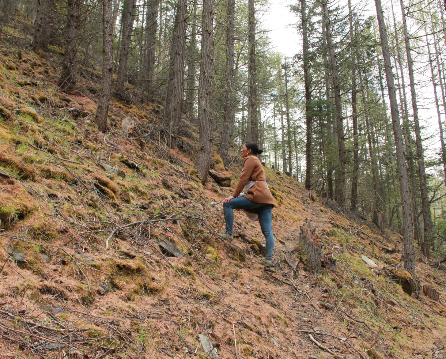 امرأة تقف على منحدر جبلي مع الأشجار العالية في الخلفية.