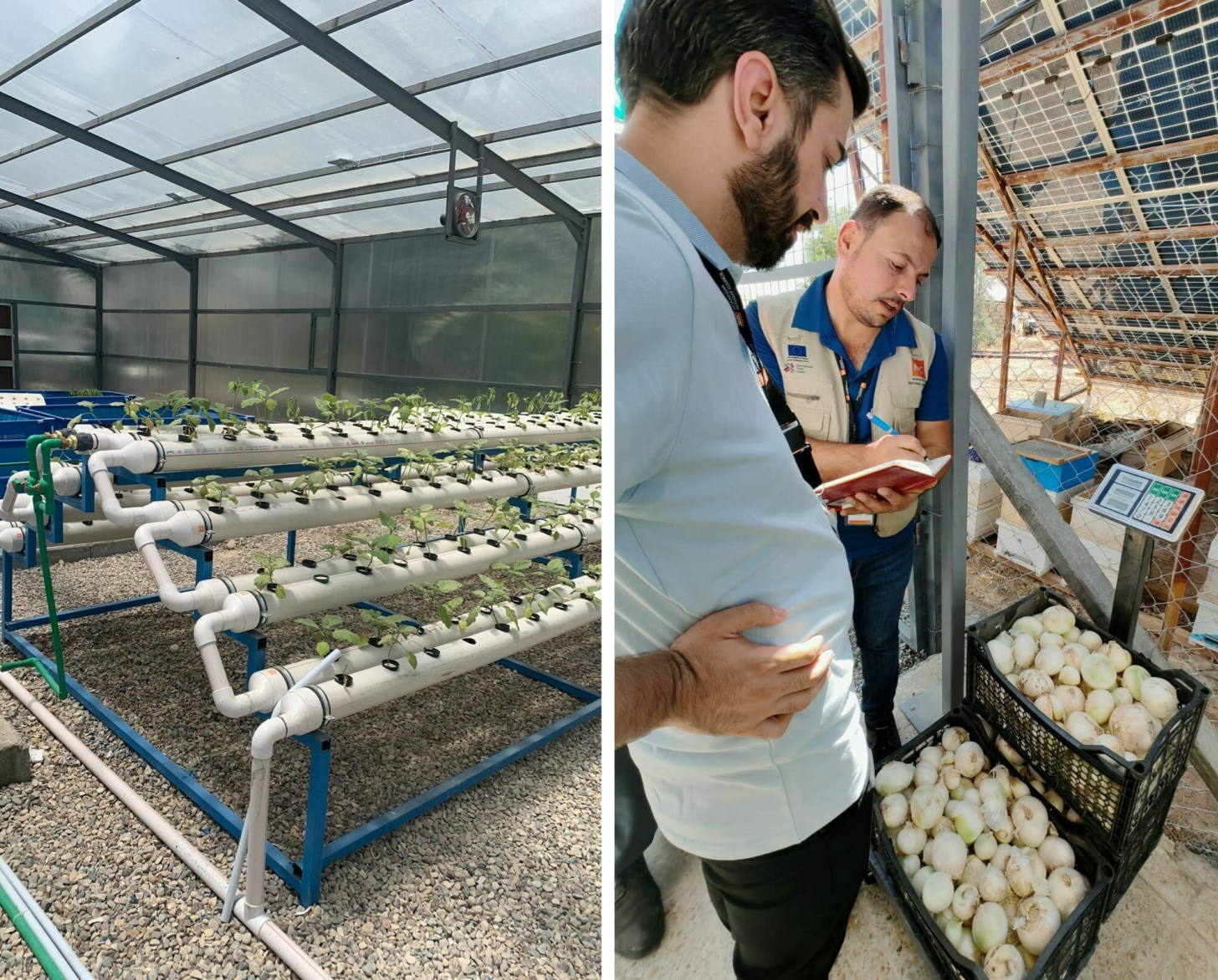 A collage of UNCT Iraq modern irrigation equipment and agribusiness hub operation training session