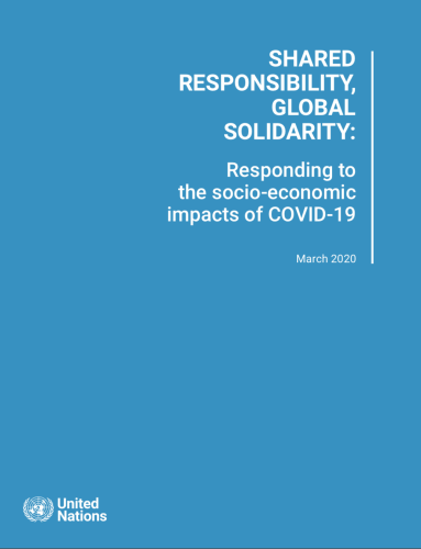 Cover shows the title "Shared Responsibility, Global Solidarity: Responding to the socio-economic impacts of COVID-19" against a solid background with the UN logo on the bottom left.
