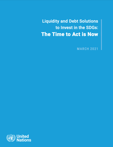 Policy Brief shoes a solid blue cover with the title in white on the top right with the UN emblem on the bottom left.