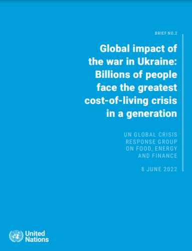 A blue report cover, with white text appearing on the right side, and the UN logo in the bottom left corner.