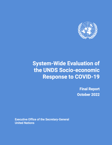 Publication cover in UN blue with the Organization's logo in white in the top right corner 