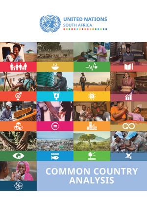 Общий страновой анализ