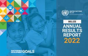 Годовые отчеты страновых команд