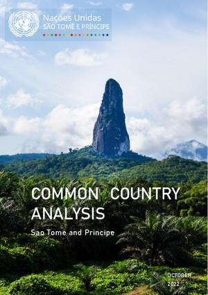 Общий страновой анализ