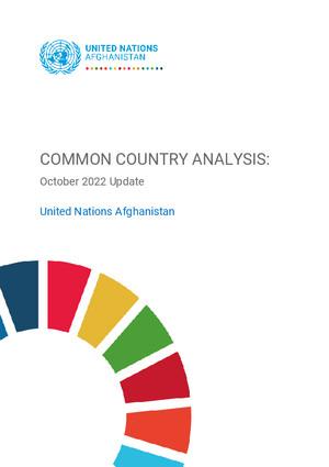 Общий страновой анализ