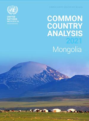 Общий страновой анализ