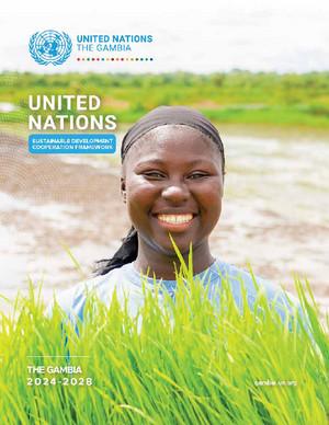 Рамочная программа по сотрудничеству (или ее эквивалент)