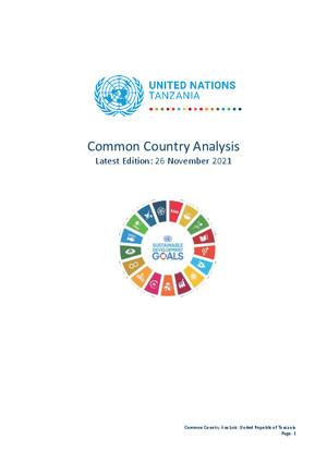Общий страновой анализ