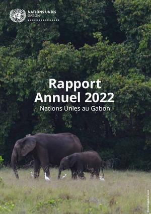 Informes anuales de resultados de los equipos de las Naciones Unidas en los países