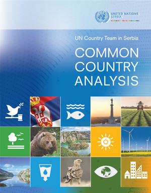 Общий страновой анализ