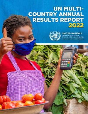 国别小组年度成果报告