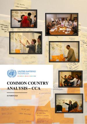 Общий страновой анализ