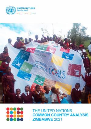 Общий страновой анализ